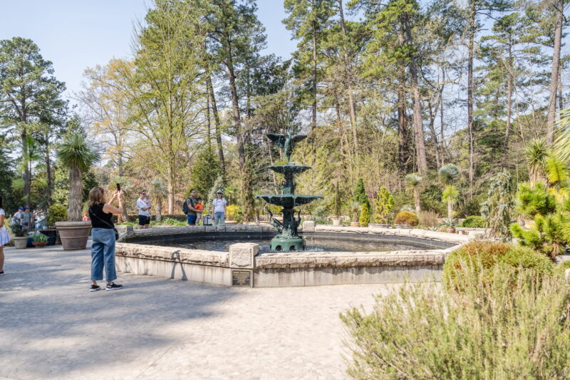 Fountain at Sarah Duke Gardens in Durham