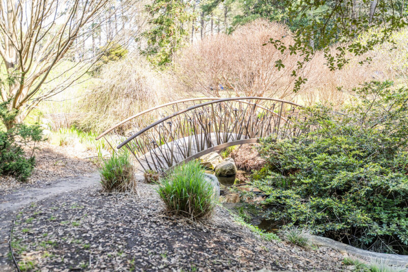 Bridge at Sarah P. Duke Gardens in Durham in the Spring