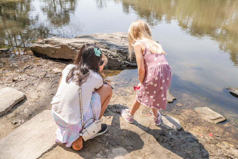 Pond at Sarah P. Duke Gardens in Durham