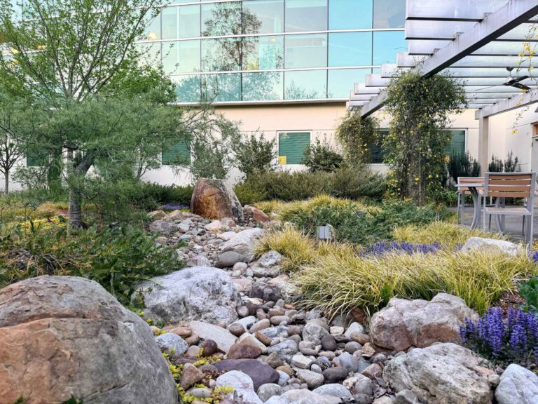 Healing gardens at cone health in Greensboro