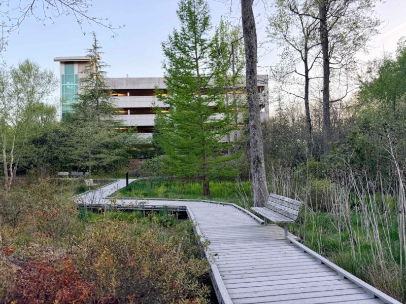 Healing Gardens Cone Health Walking Paths