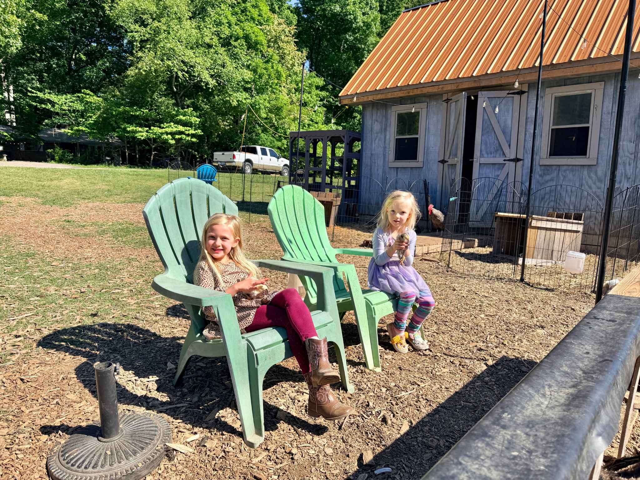 Coop & Creek chickens in High Point, NC