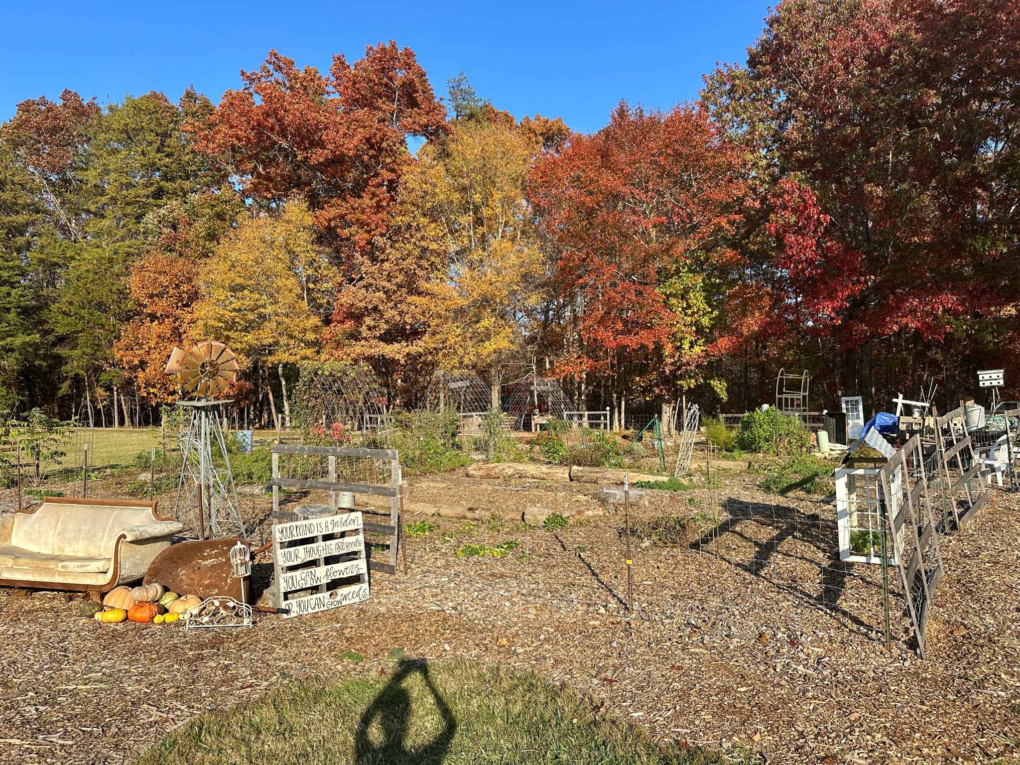 Coop & Creek Farm in High Point, NC