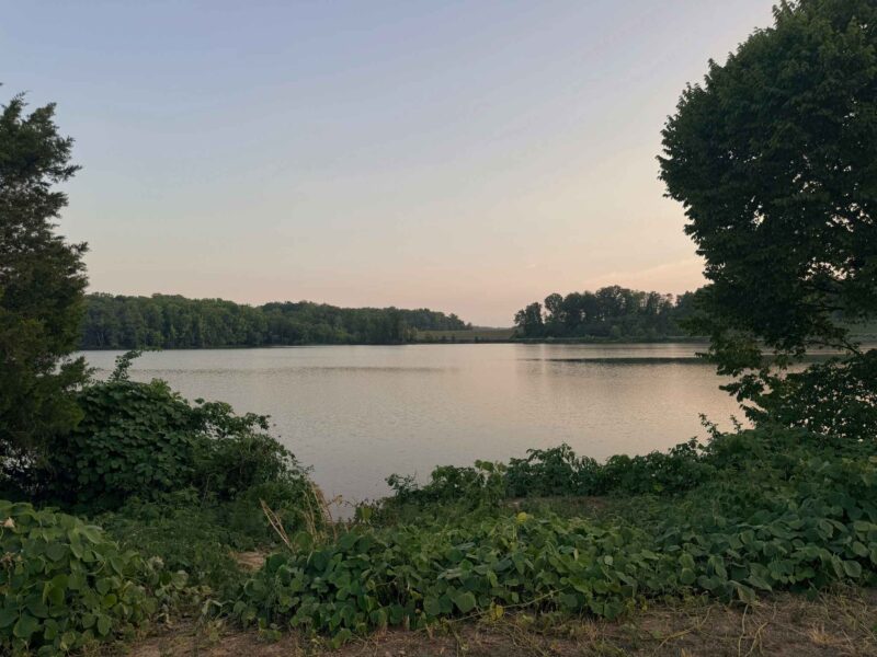 view of Lake Brandt from Atlantic & Yadkin Greenway in Greensboro, NC