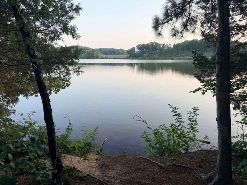 view of Lake Brandt from Atlantic & Yadkin Greenway in Greensboro, NC
