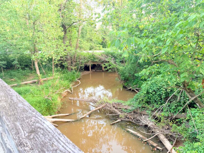 Creek off view off Atlantic & Yadkin Greenway in Greensboro, NC