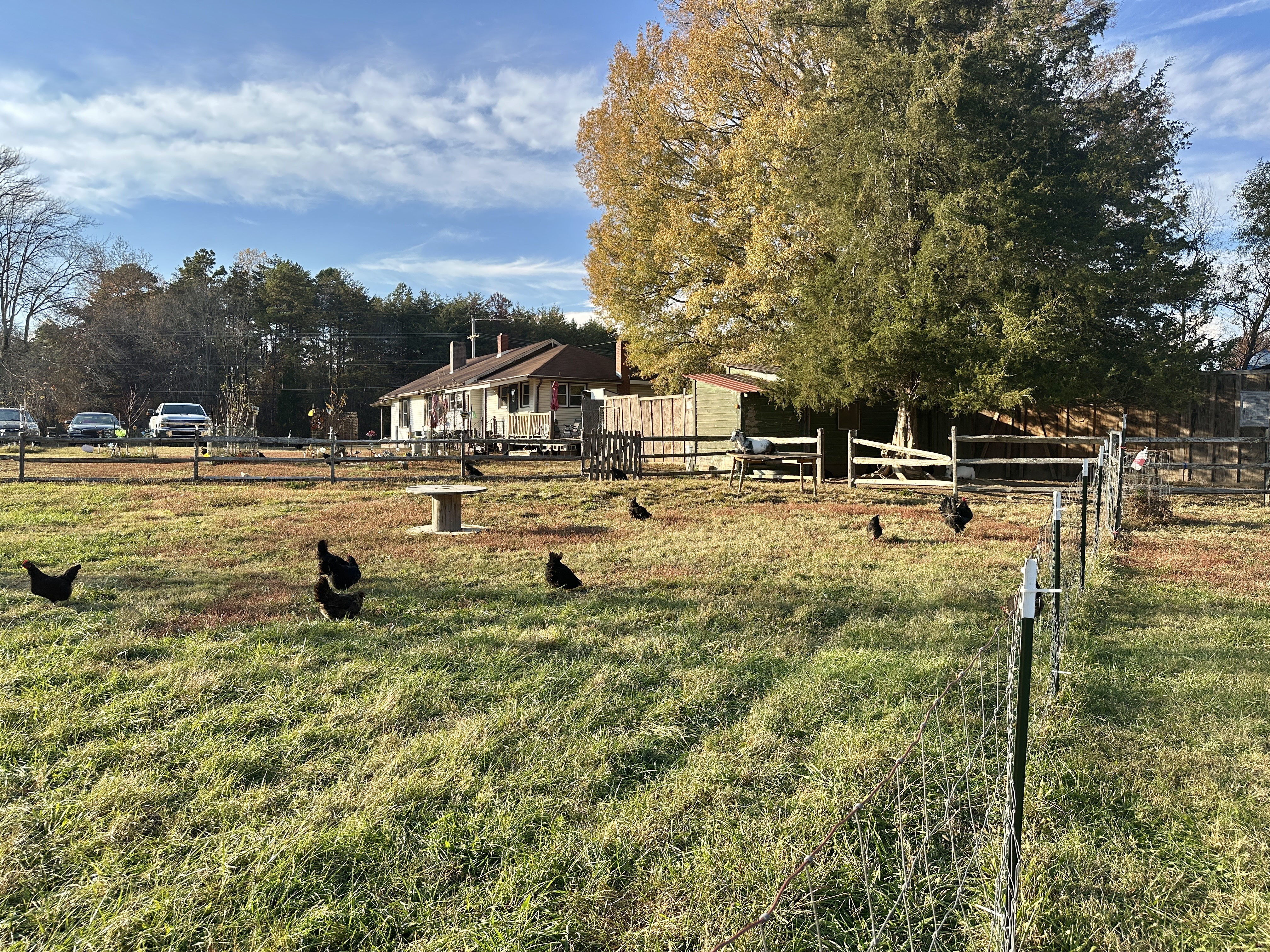Coop & Creek Farm in High Point, NC