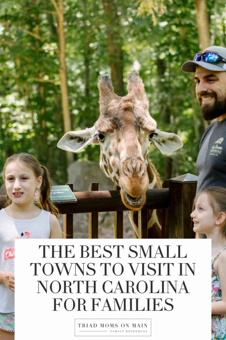 The Best Small Towns to Visit in North Carolina for Families