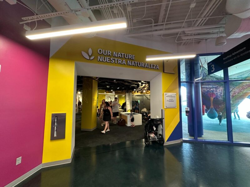 Our Nature Animal Exhibit at Kaleideum