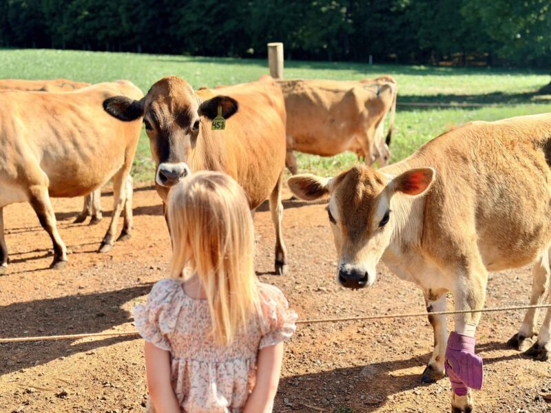 Reverence Farms