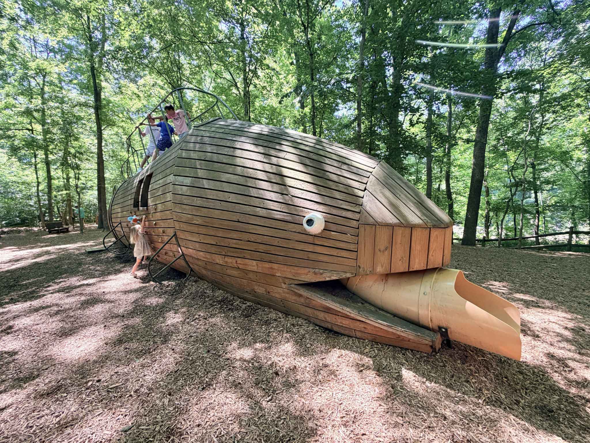 Fish Slide at Saxapahaw Island Playground