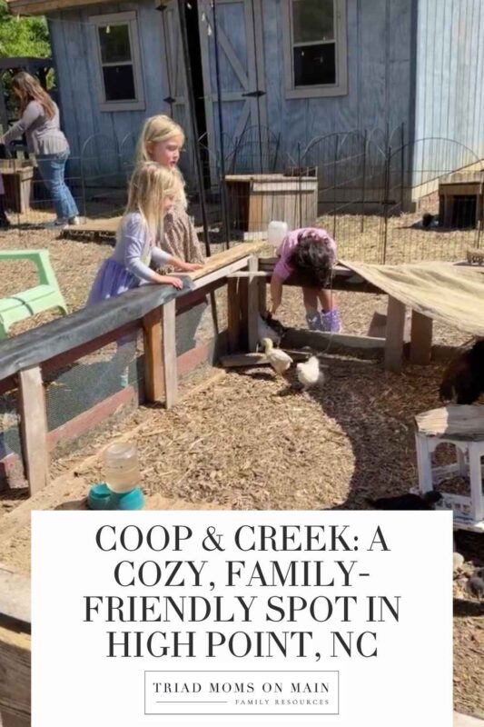 Coop & Creek: A Cozy, Family-Friendly Spot in High NC