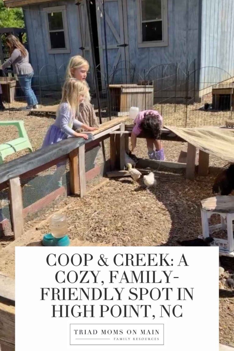 Coop & Creek: A Cozy, Family-Friendly Spot in High NC