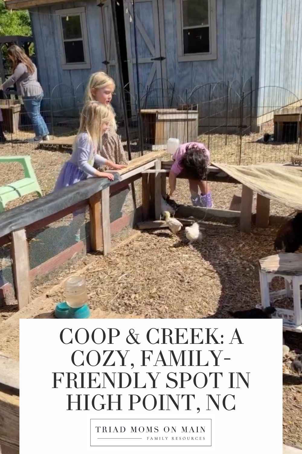 Coop & Creek: A Cozy, Family-Friendly Spot in High NC