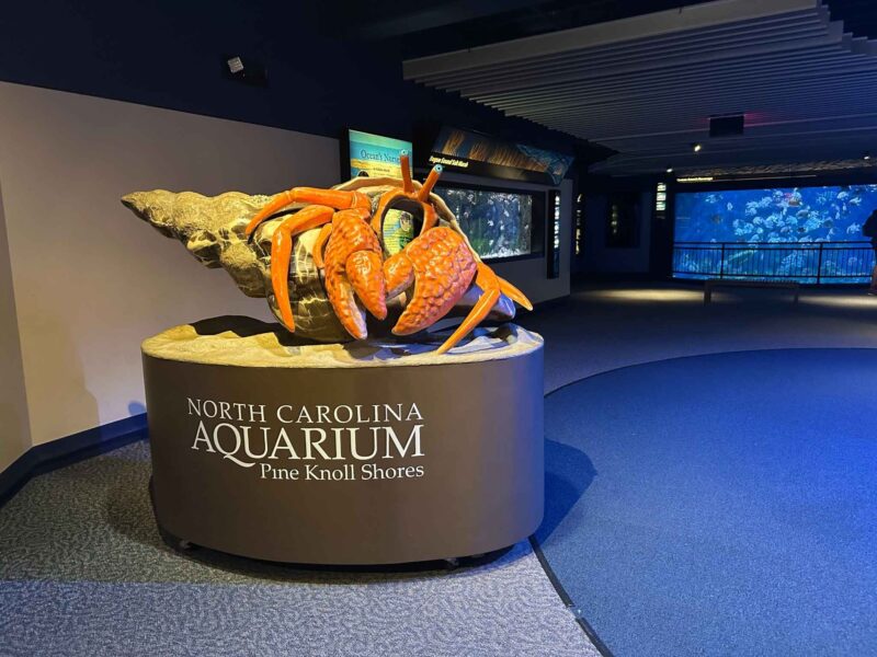 the NC Aquarium at Pine Knoll Shores