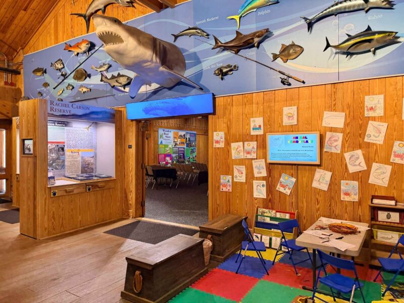 Beaufort Maritime Museum display