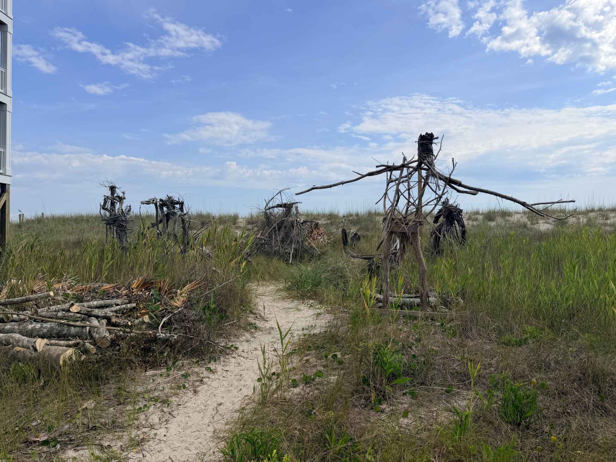 Driftwood Sculptures on Oak Island, NC