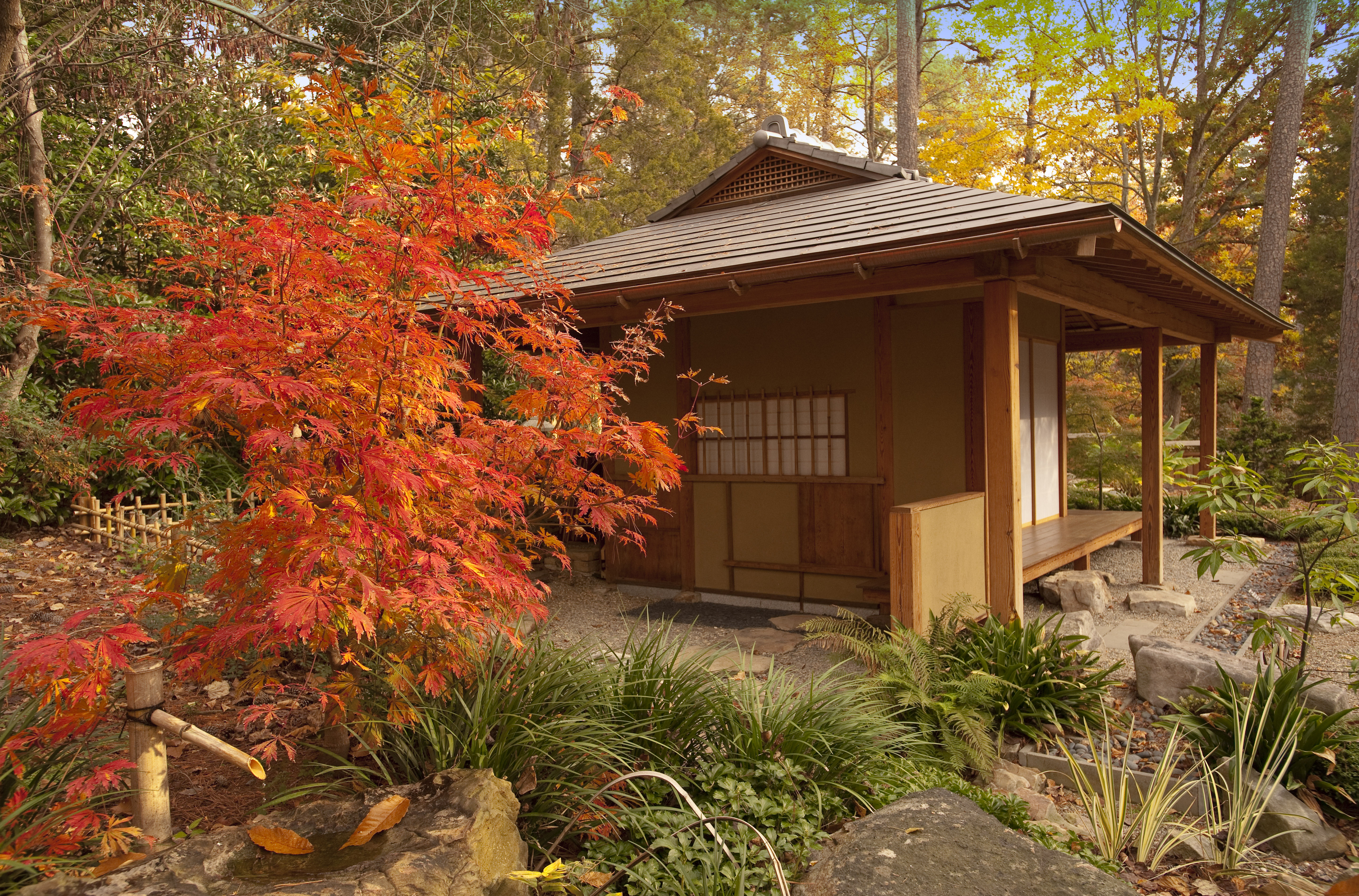 duke gardens fall color