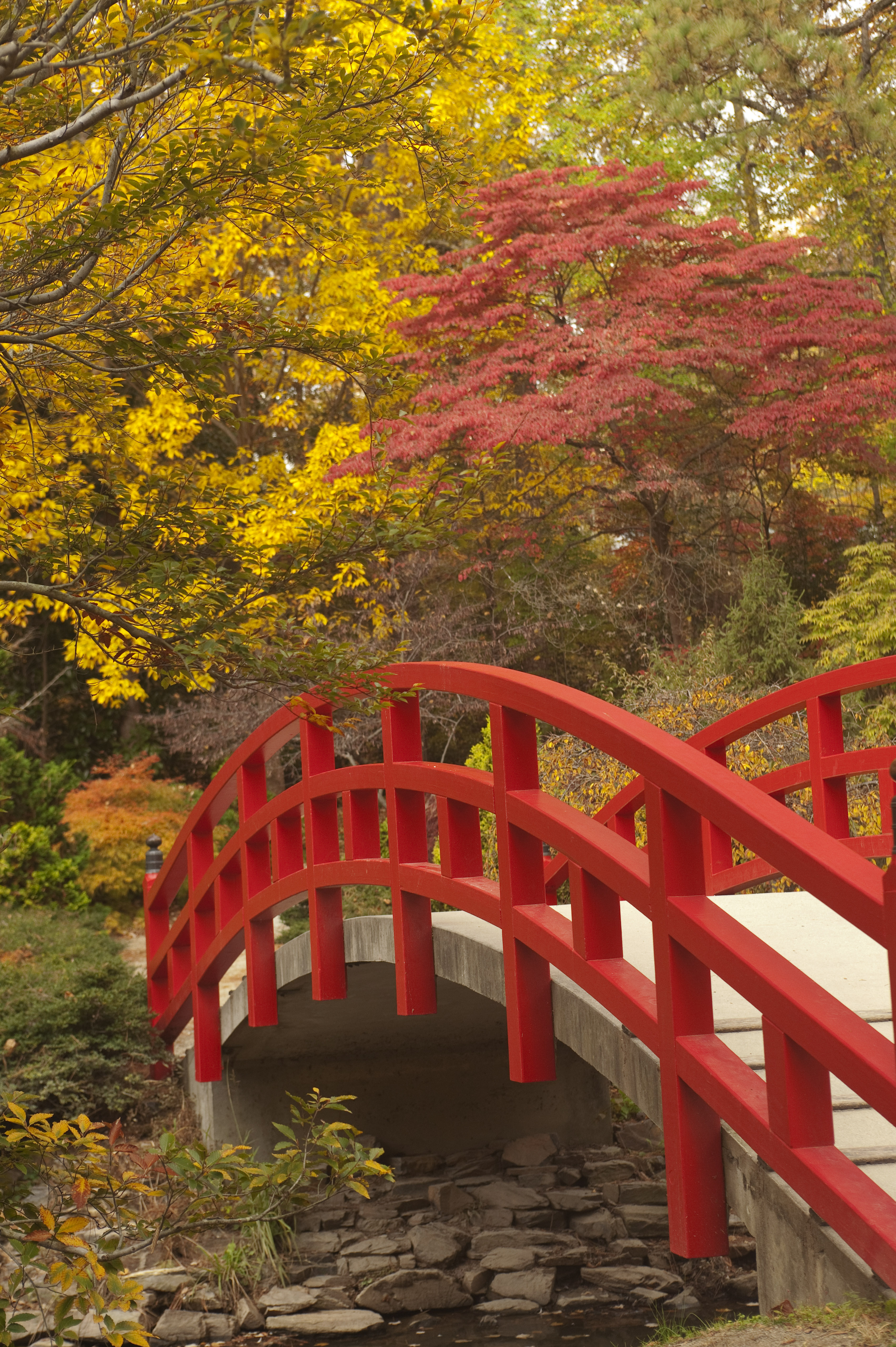 duke gardens red Meyer Bridge fall color
