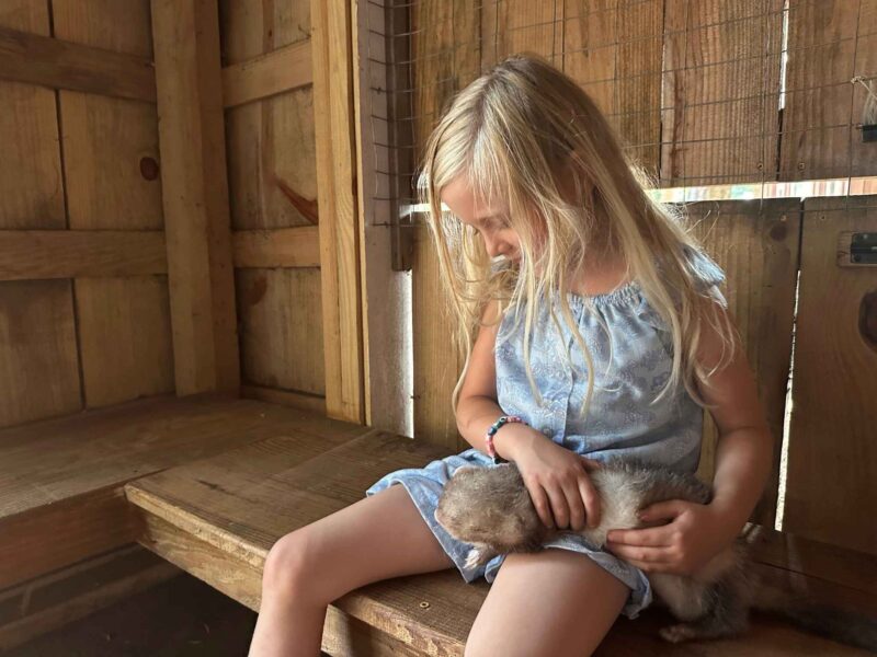 Grace Adventure Park