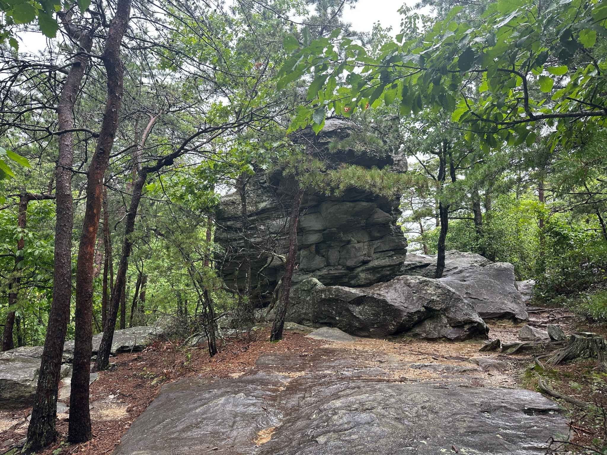 Hanging Rock State Park