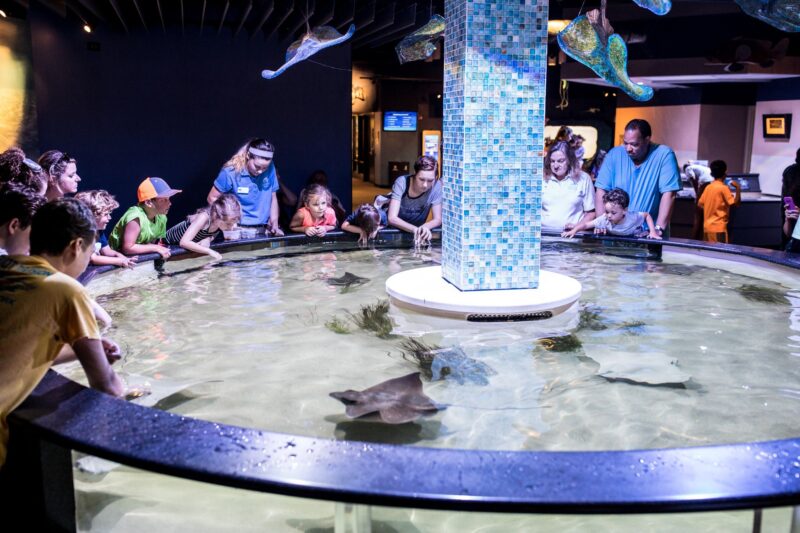 NC Aquarium at Pine Knoll Shores