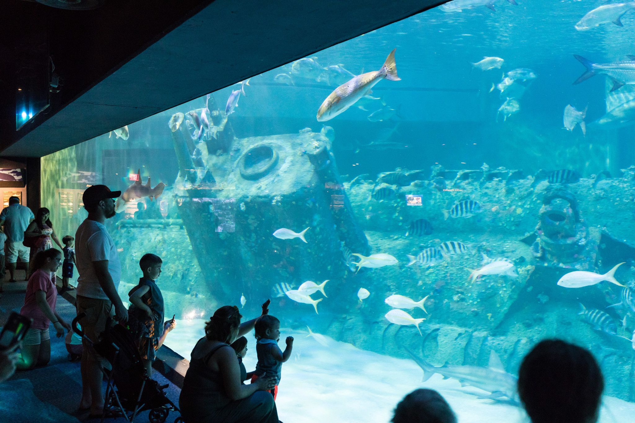 NC Aquarium at Pine Knoll Shores