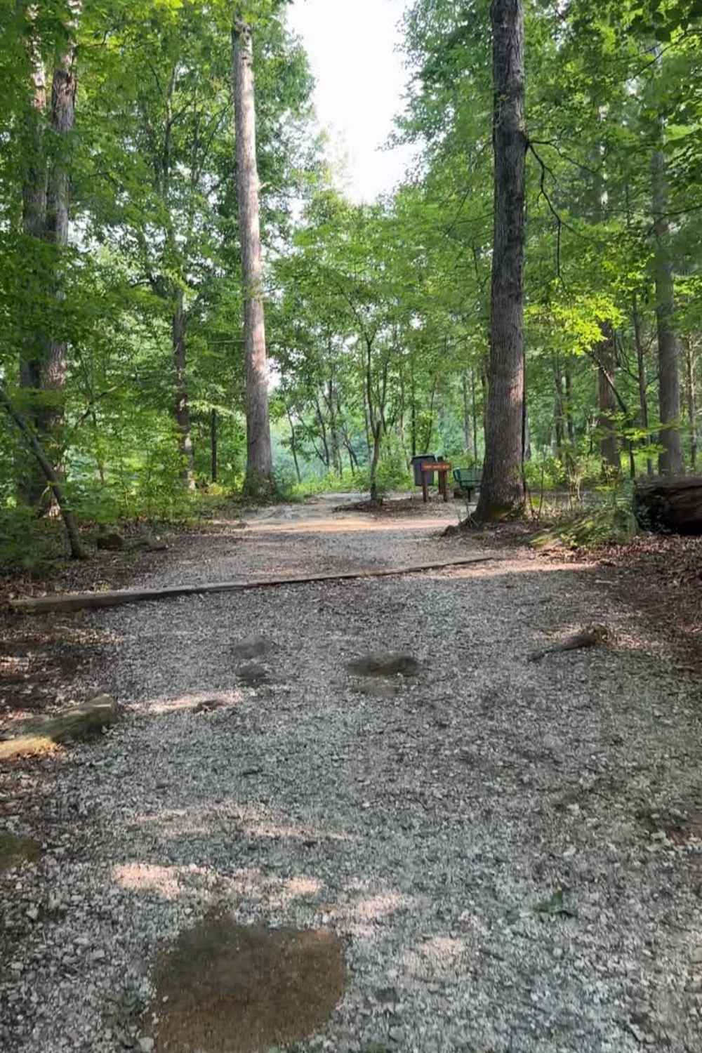 Trail at Riverpark at Cooleemee Falls: The Bullhole