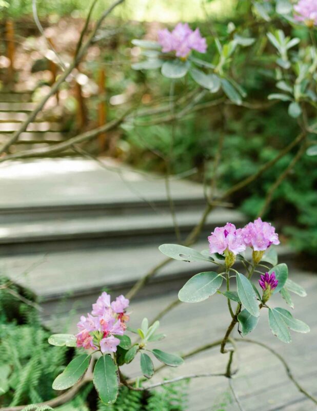 H.L. Blomquist Garden of Native Plants