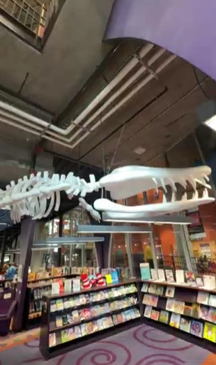 Imaginon