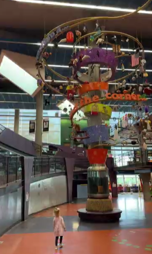 Imaginon