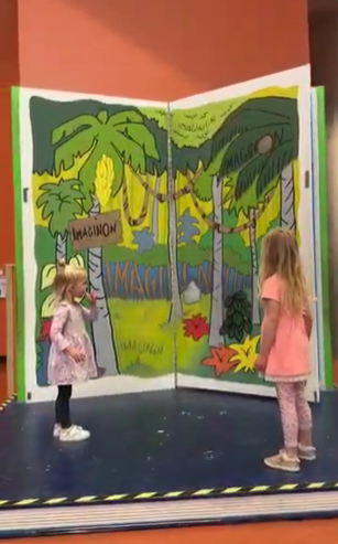 Imaginon