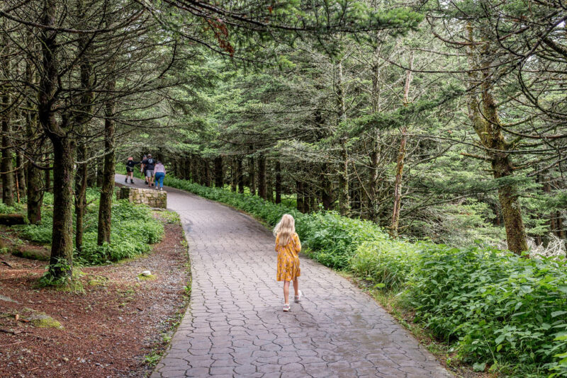 Burnsville the lodge pathway