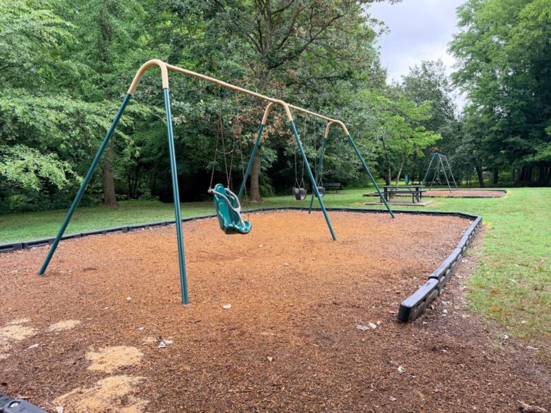 Cascade Park playground swing for young kids