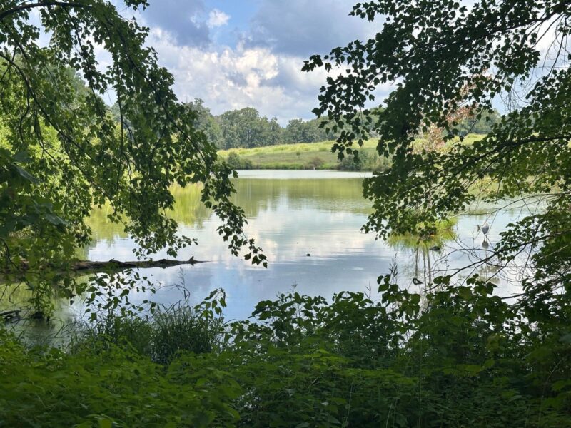 Chinqua-Penn Trail