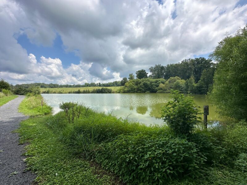 Chinqua-Penn Trail green pond