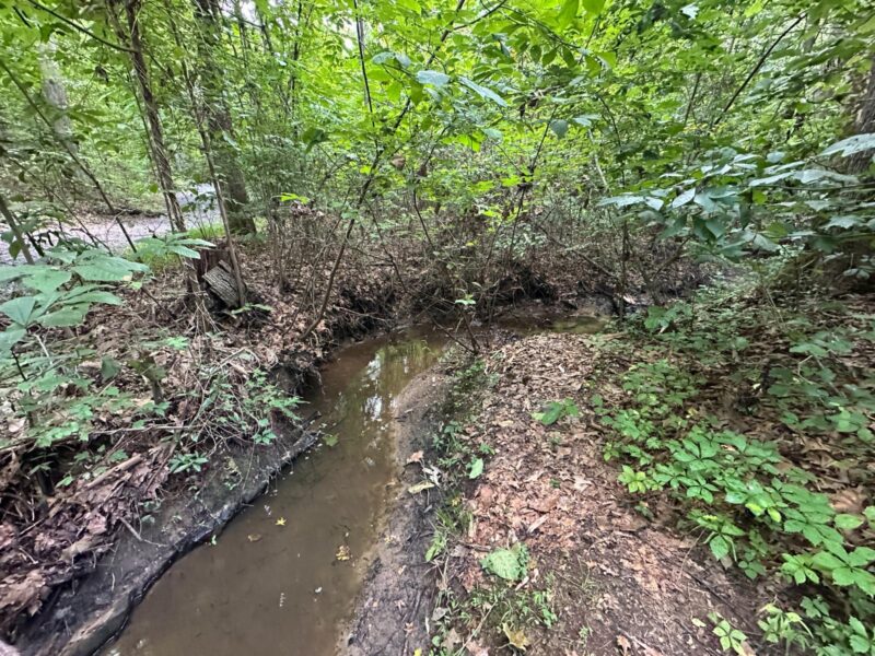 Chinqua-Penn Trail Photos