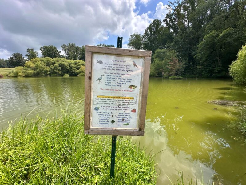Chinqua-Penn Trail pond