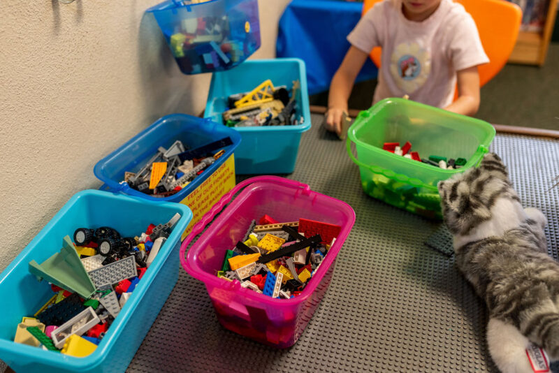 Burnsville Public Library and Art Gallery legos