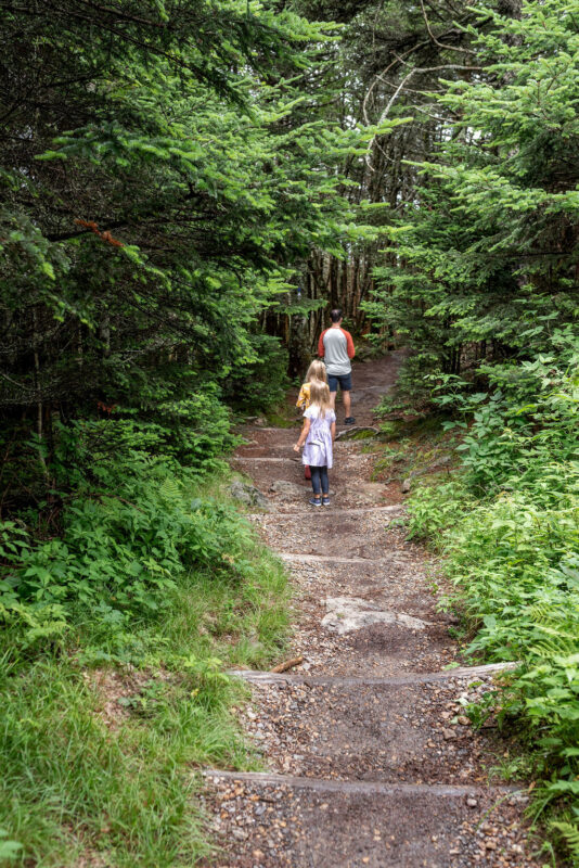burnsville mt mitchell state park