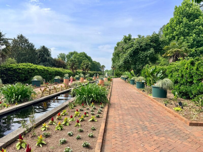Daniel Stowe Conservancy garden