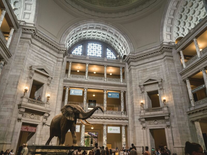 National Museum of Natural History