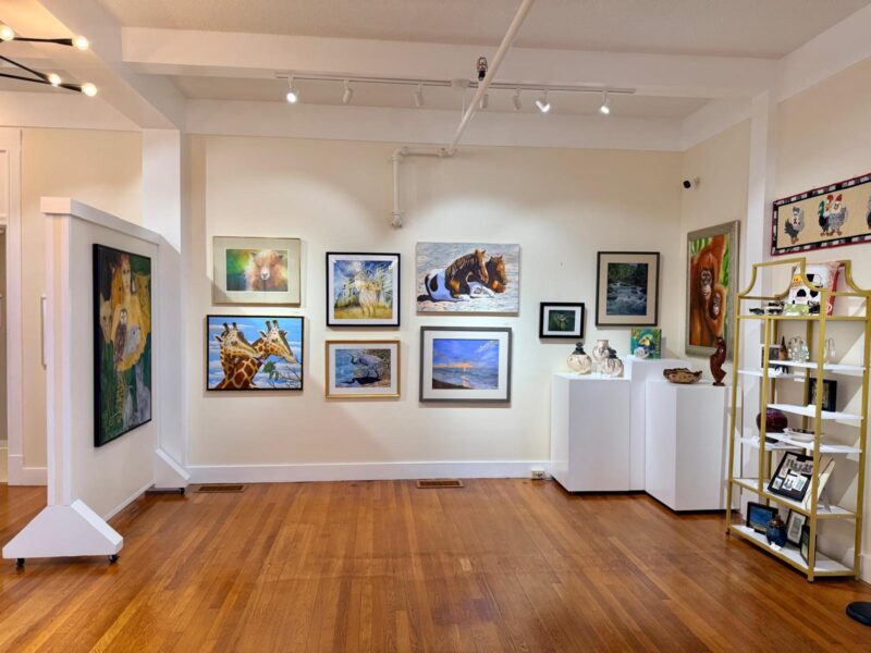 Marshall Muse Gallery paintings