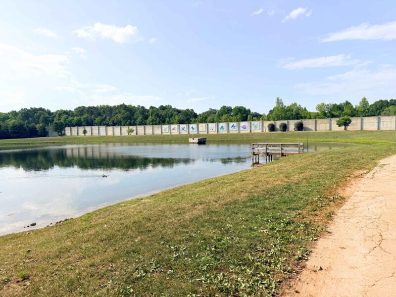 Oka T. Hester Park pond with catfish in Greensboro