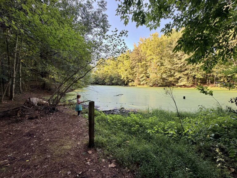 Palmetto trail Greensboro NC