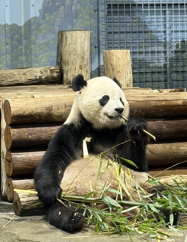 Smithsonian National Zoo