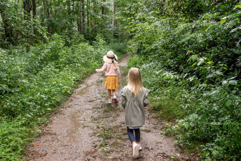 Roaring Fork Falls walking trails