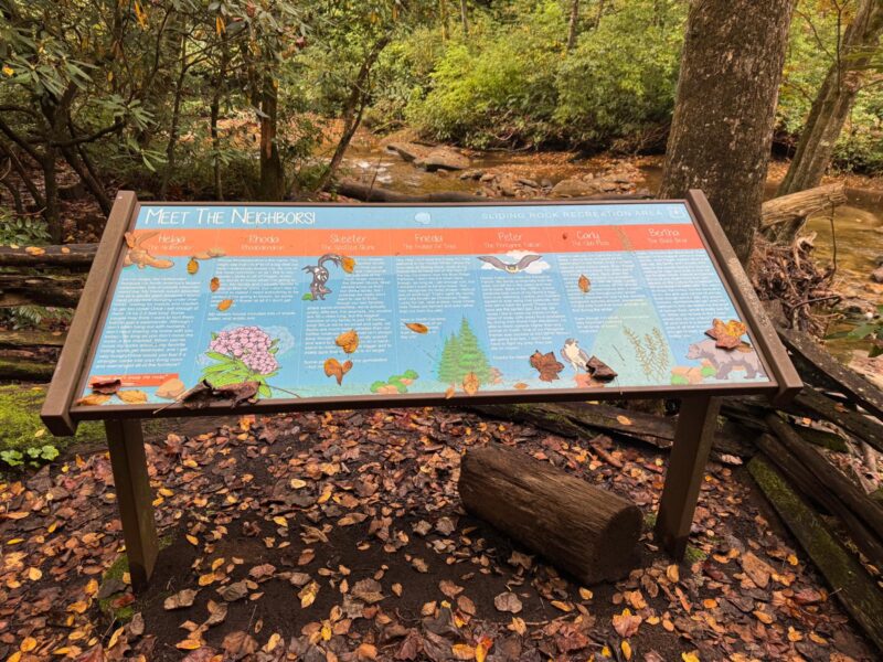 Sliding Rock NC sign about bird species