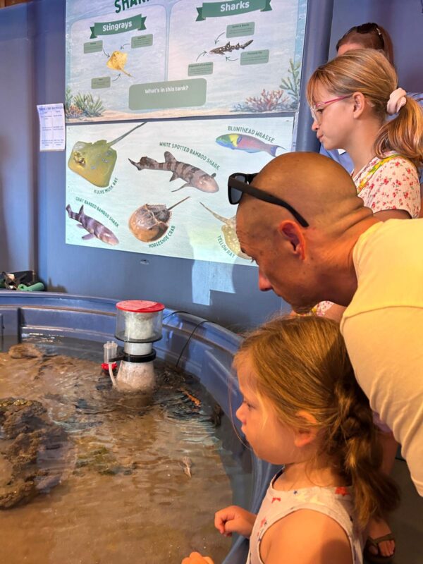 Topsail island touch tank aquarium