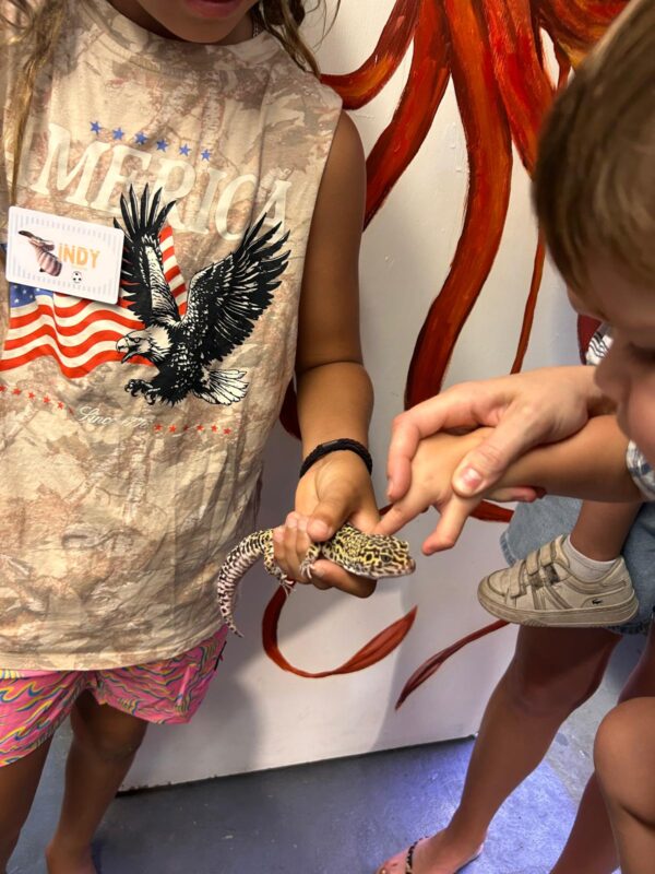 Topsail island touch tank aquarium